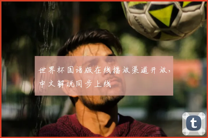 世界杯国语版在线播放渠道开放，中文解说同步上线