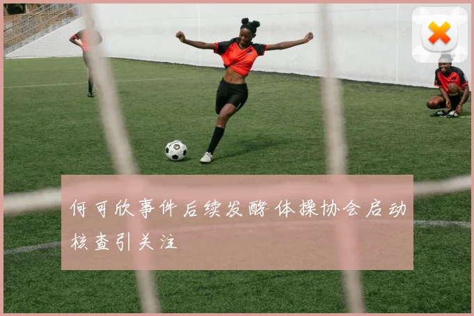 何可欣事件后续发酵 体操协会启动核查引关注