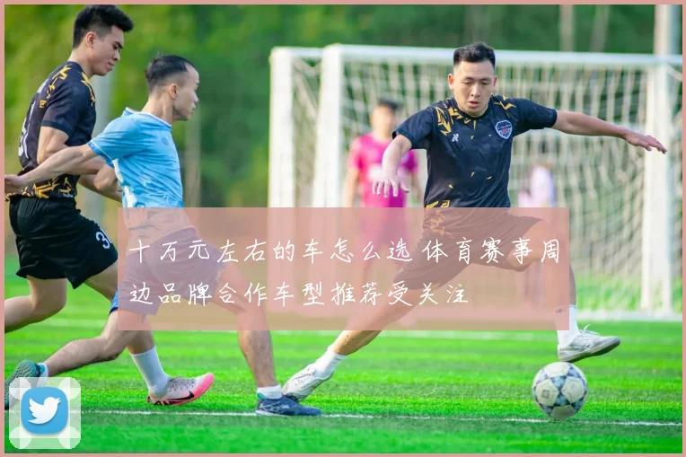 十万元左右的车怎么选 体育赛事周边品牌合作车型推荐受关注