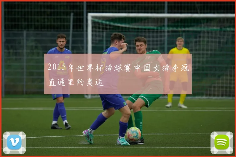 2015年世界杯排球赛中国女排夺冠直通里约奥运