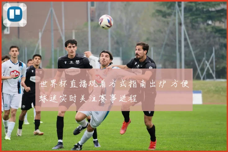世界杯直播观看方式指南出炉 方便球迷实时关注赛事进程
