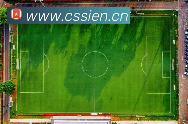 多媒体互动体验